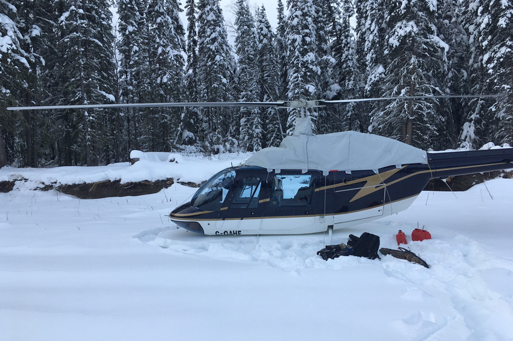 Gallery Jaxida Cover